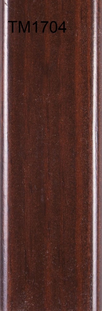 TM1704